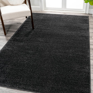 Haze Solid Low-pile Area Rug Black